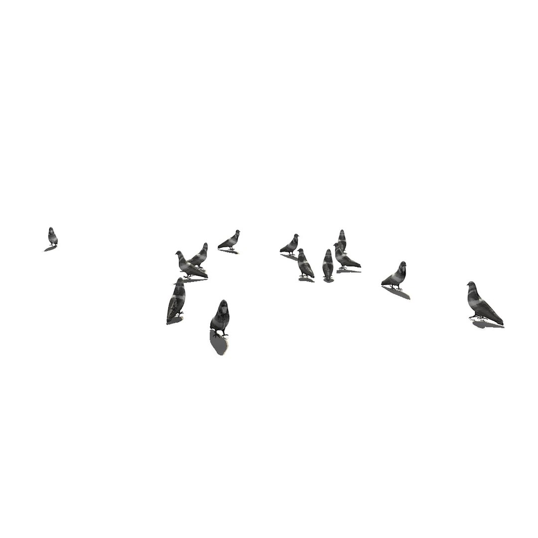 3D group pigeons eating walking animation model https://p.turbosquid.com/ts-thumb/1J/xYNtW9/QJUpaWfz/pigeonwalkgeatggroup5/jpg/1549826831/1920x1080/fit_q87/f32fc3b93e2ed458fd2a9801b6a052085fd0fc5a/pigeonwalkgeatggroup5.jpg