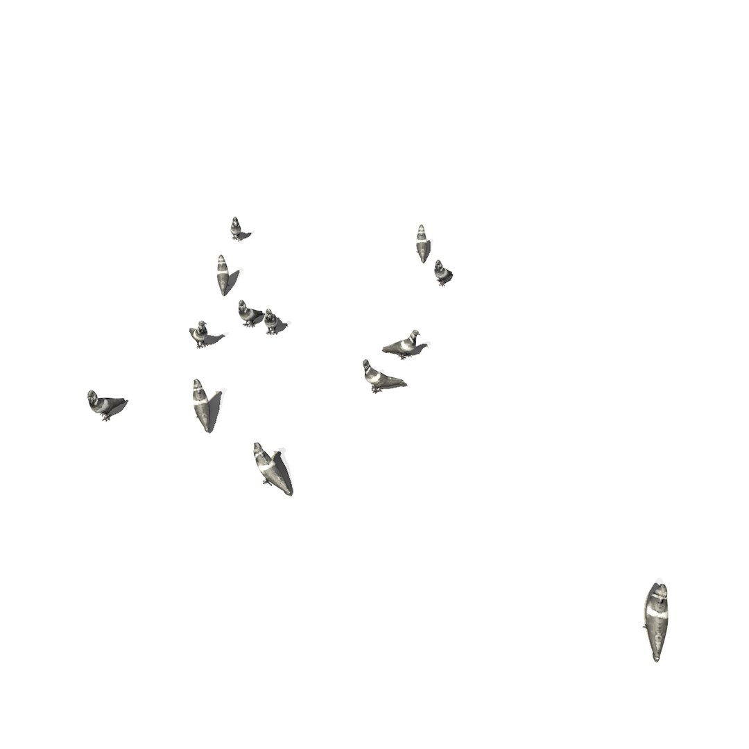 3D group pigeons eating walking animation model https://p.turbosquid.com/ts-thumb/1J/xYNtW9/RSvtLYmK/pigeonwalkgeatggroup4/jpg/1549826831/1920x1080/fit_q87/2c7fe847e26b206a33ddd217750b1bcf9570bb40/pigeonwalkgeatggroup4.jpg