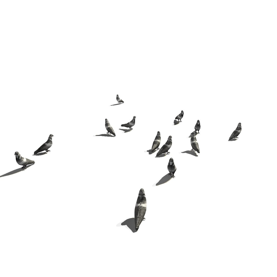 3D group pigeons eating walking animation model https://p.turbosquid.com/ts-thumb/1J/xYNtW9/pTfqU7oM/pigeonwalkgeatggroup3/jpg/1549826831/1920x1080/fit_q87/c4a38e1ad799fb548952832a669da4b305bfefac/pigeonwalkgeatggroup3.jpg
