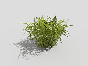 3d model plant
