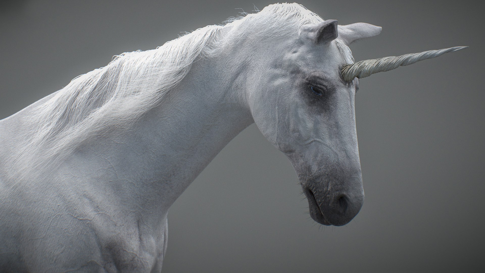 Animated Unicorn 3D https://p.turbosquid.com/ts-thumb/1K/7V2ame/87/008/jpg/1788790581/1920x1080/fit_q87/4ece1d9ad54f7d0404fe752c87f4ce2bd25f55d2/008.jpg