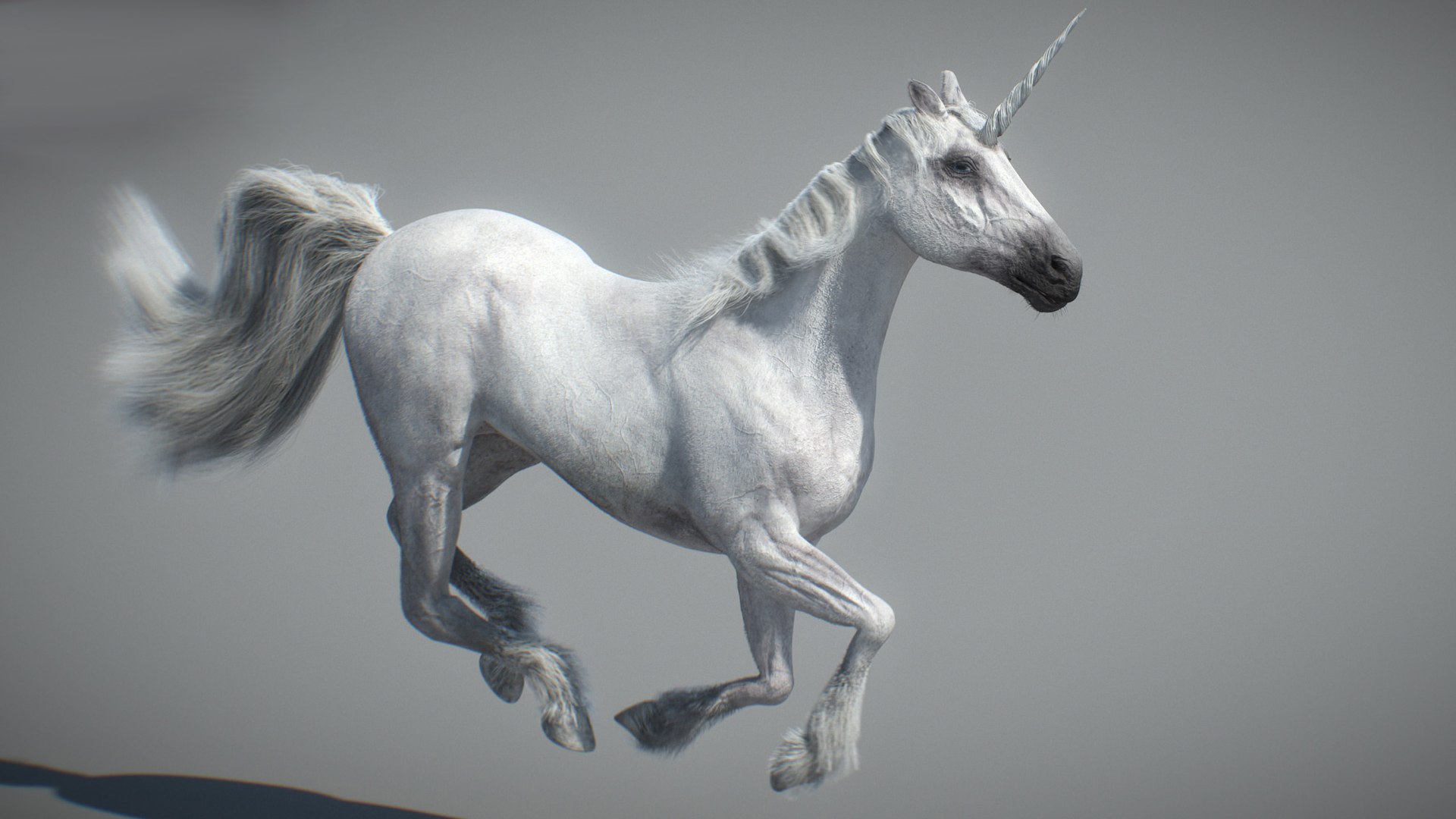 Animated Unicorn 3D https://p.turbosquid.com/ts-thumb/1K/7V2ame/HY/006/jpg/1788790584/1920x1080/fit_q87/f9bb7c65a6b8bd6621d85ab109d95aa088b16500/006.jpg