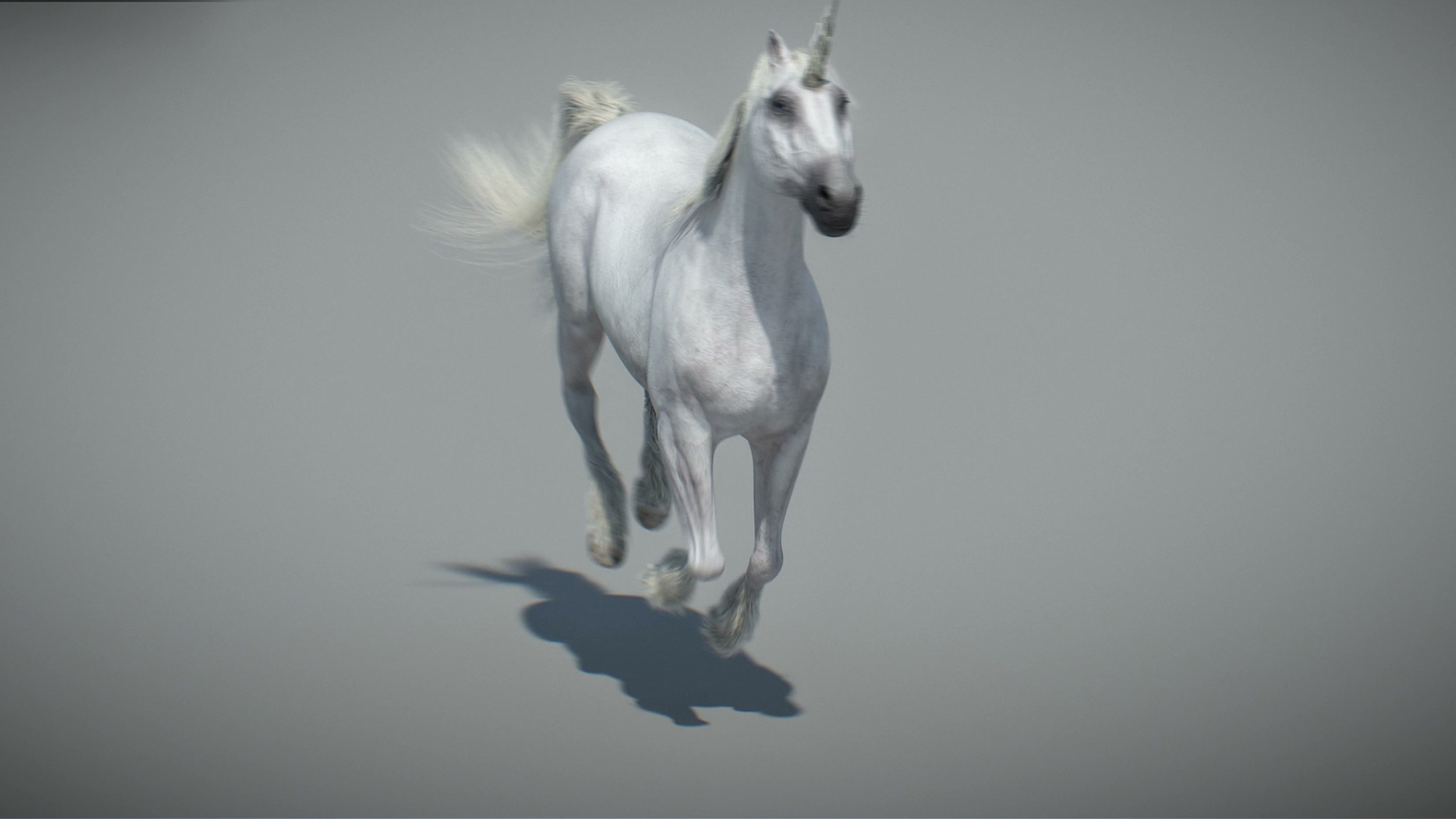 Animated Unicorn 3D https://p.turbosquid.com/ts-thumb/1K/7V2ame/JI/capture/jpg/1788790716/1920x1080/turn_fit_q99/10e0ffe9d61a9497086fff089dfd7336763e06e4/capture-1.jpg