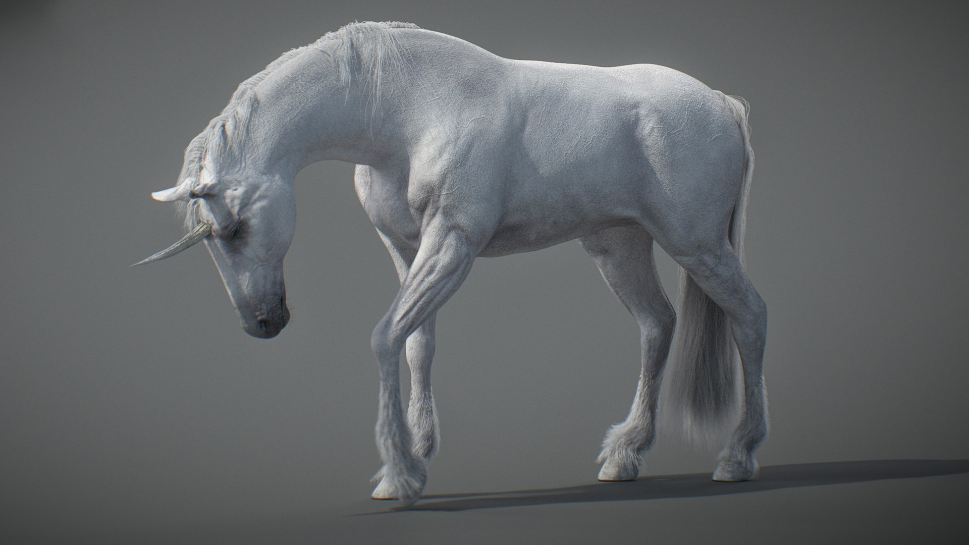 Animated Unicorn 3D https://p.turbosquid.com/ts-thumb/1K/7V2ame/L0/013/jpg/1788790585/1920x1080/fit_q87/8ccf9e898bb3122b9175ac97b1a0d118f2f87024/013.jpg