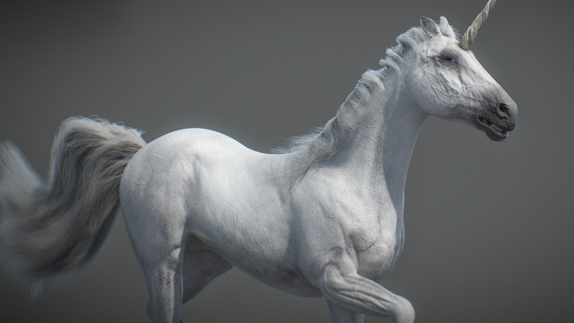 Animated Unicorn 3D https://p.turbosquid.com/ts-thumb/1K/7V2ame/ac/012/jpg/1788790584/1920x1080/fit_q87/f08c47b8af50b94f1c8686a80e49b41a2d4c565b/012.jpg