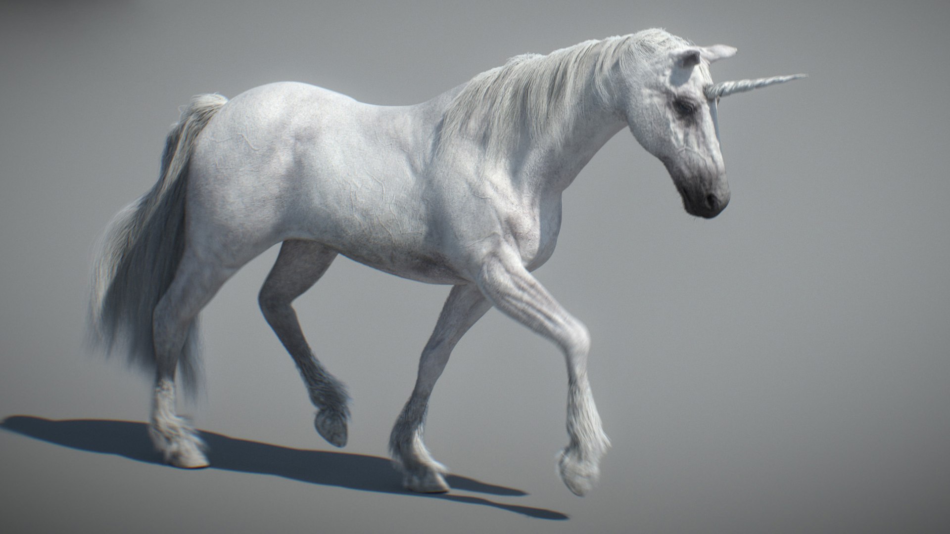 Animated Unicorn 3D https://p.turbosquid.com/ts-thumb/1K/7V2ame/cr/011/jpg/1788790583/1920x1080/fit_q87/6476988ba636a6c953c094c4254f5900f0cede19/011.jpg