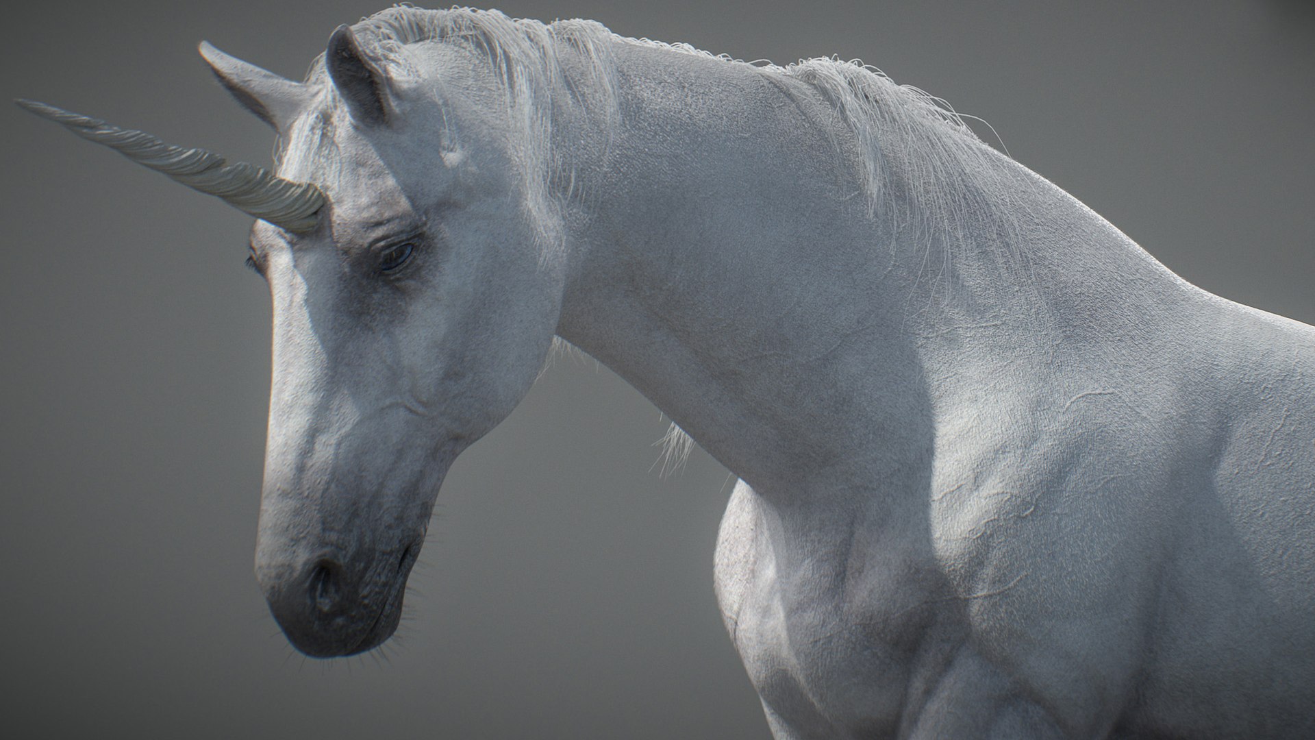 Animated Unicorn 3D https://p.turbosquid.com/ts-thumb/1K/7V2ame/j4/002/jpg/1788790570/1920x1080/fit_q87/6cf2a011a8e694fd4c24c865f1a55e58fc8b4f30/002.jpg