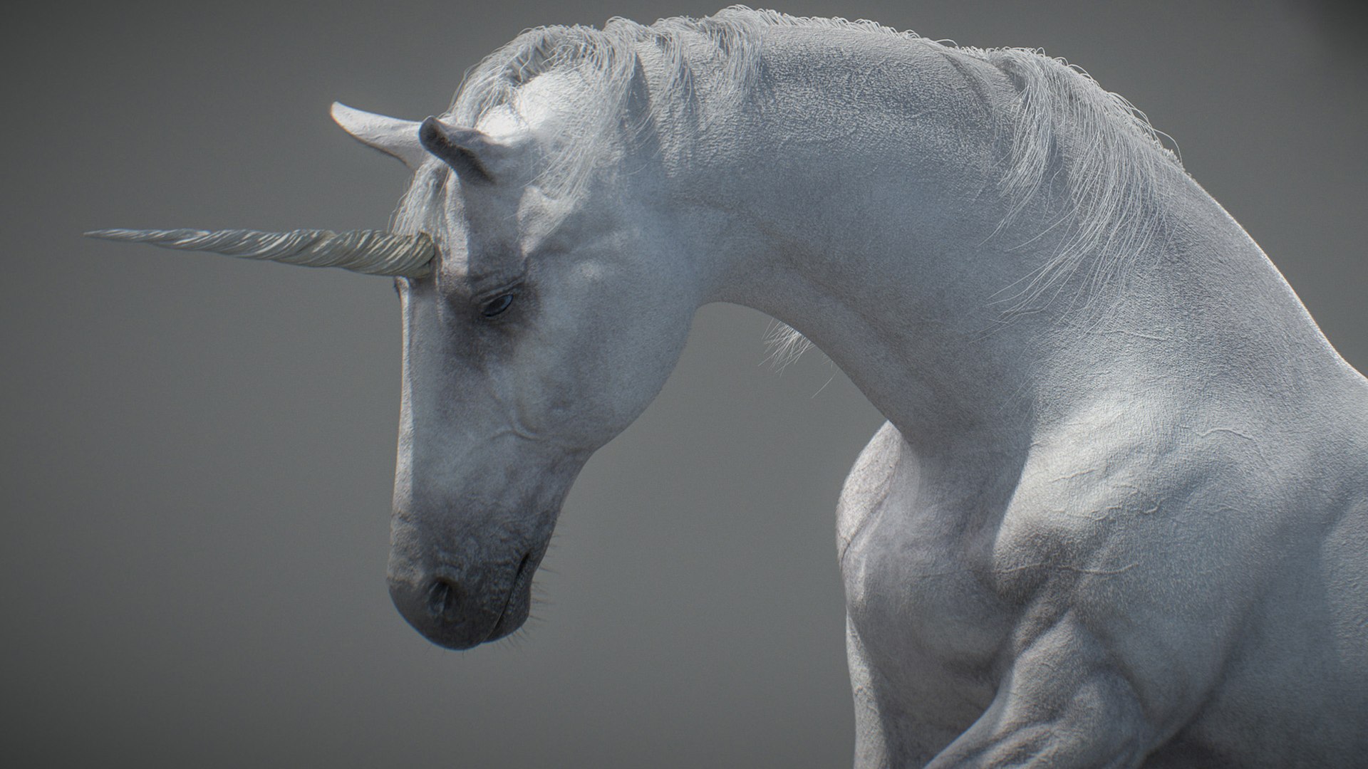 Animated Unicorn 3D https://p.turbosquid.com/ts-thumb/1K/7V2ame/sL/015/jpg/1788790586/1920x1080/fit_q87/2ae4e3a70ab215c8d4e14c2b431f71fe7cec8120/015.jpg