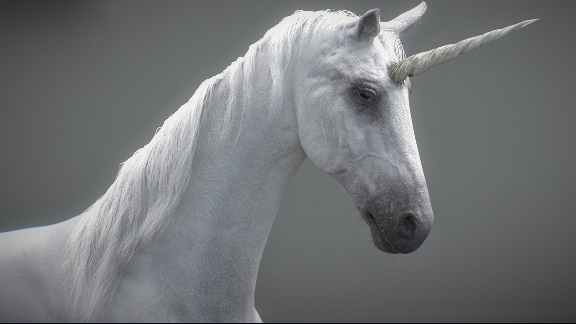 Animated Unicorn 3D https://p.turbosquid.com/ts-thumb/1K/7V2ame/y2/016/jpg/1788790586/1920x1080/fit_q87/a2f34ab936f532821752a8f2f4271666c6362f70/016.jpg