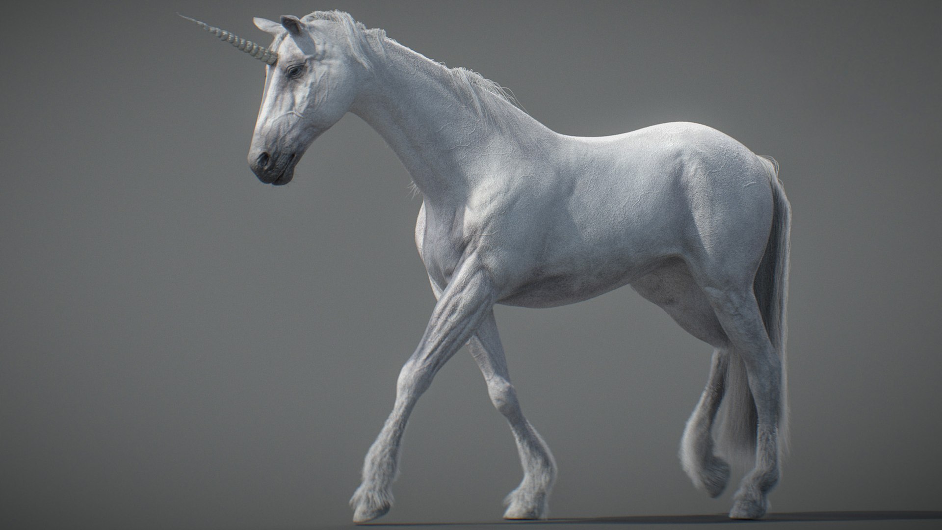 Animated Unicorn 3D https://p.turbosquid.com/ts-thumb/1K/7V2ame/yC/010/jpg/1788790582/1920x1080/fit_q87/b9eb44d24f58b1eb9435a1b3ffd8499b91db6a32/010.jpg