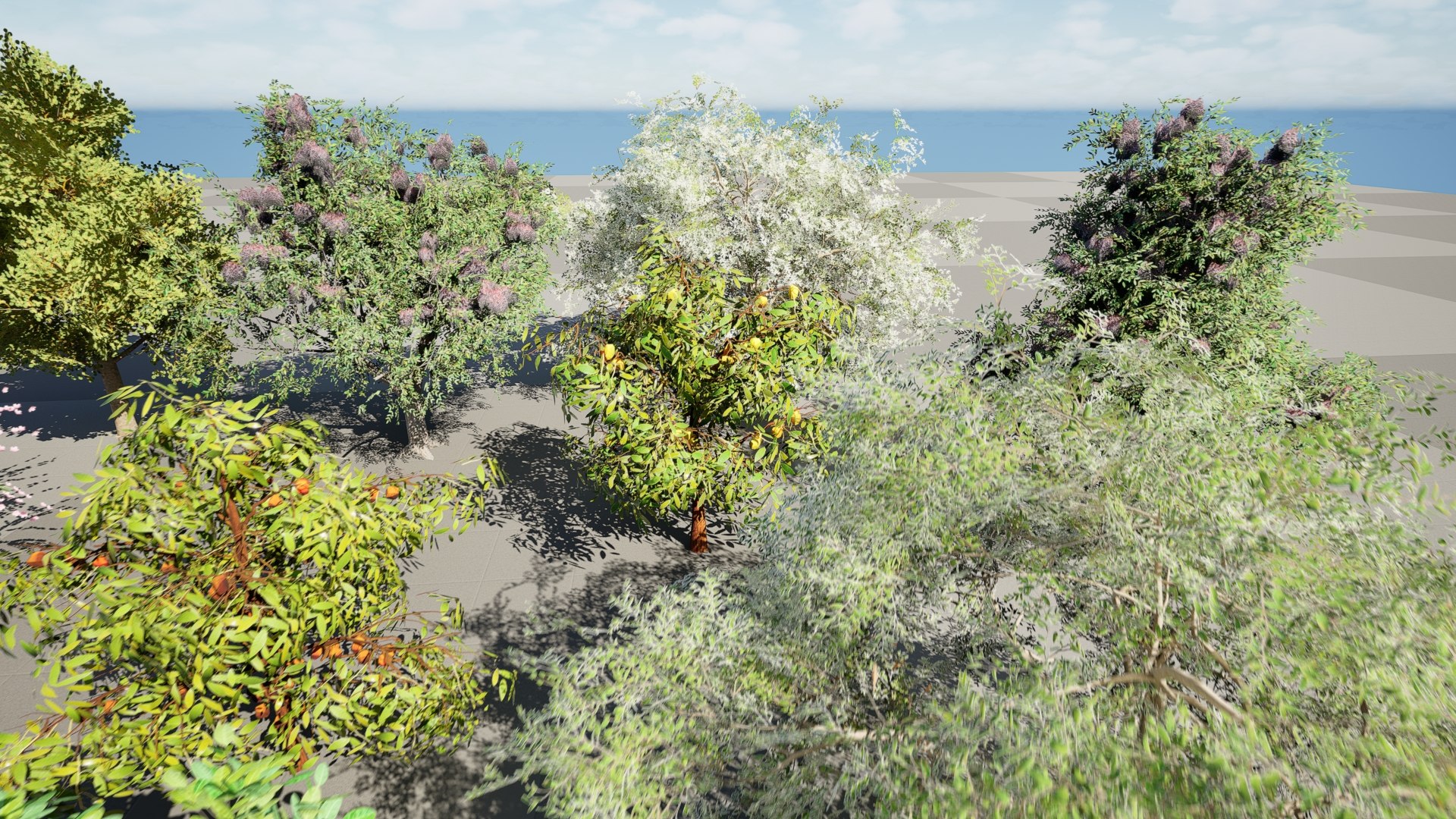 3D Game-Ready Fruit Tree Asset Pack model https://p.turbosquid.com/ts-thumb/1K/7weEaZ/Ie/02.0236/jpeg/1735405111/1920x1080/fit_q87/b6440e50ef45d471996ce17c5bad0c4e7ade5a72/02.0236.jpg