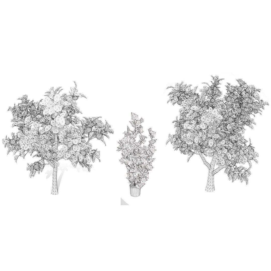 3D Game-Ready Fruit Tree Asset Pack model https://p.turbosquid.com/ts-thumb/1K/7weEaZ/VZ/passionfruittree3dwire/jpg/1735405168/1920x1080/fit_q87/a554fac890f3d77ae781217ec2a53e46674beb3e/passionfruittree3dwire.jpg