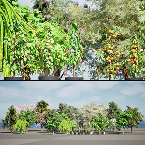 3D Game-Ready Fruit Tree Asset Pack model