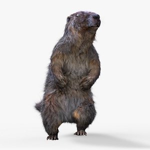 marmot RIGGEDFUR