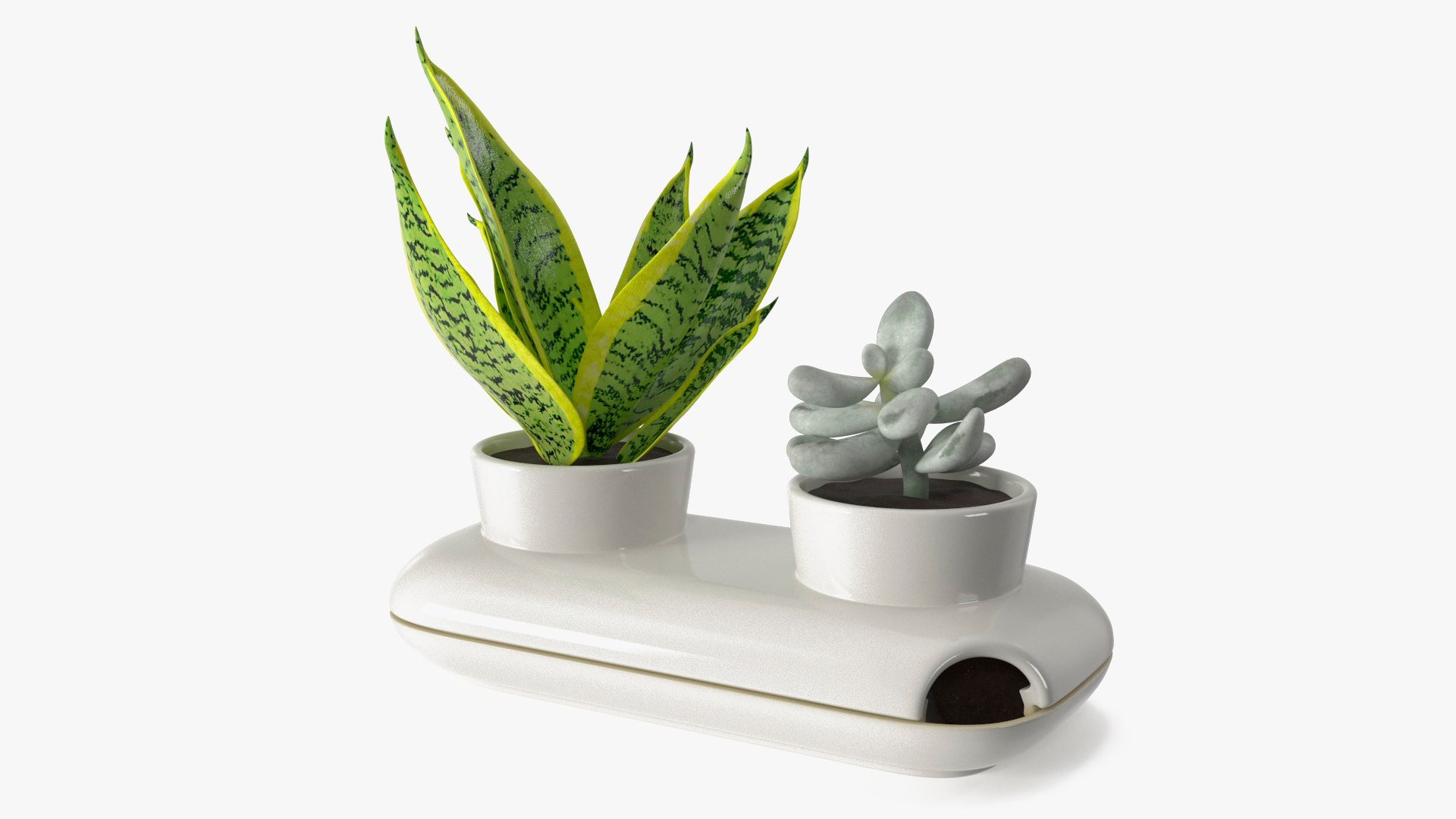 Sagaform Fresh Herb Pot Double White 3D model preview