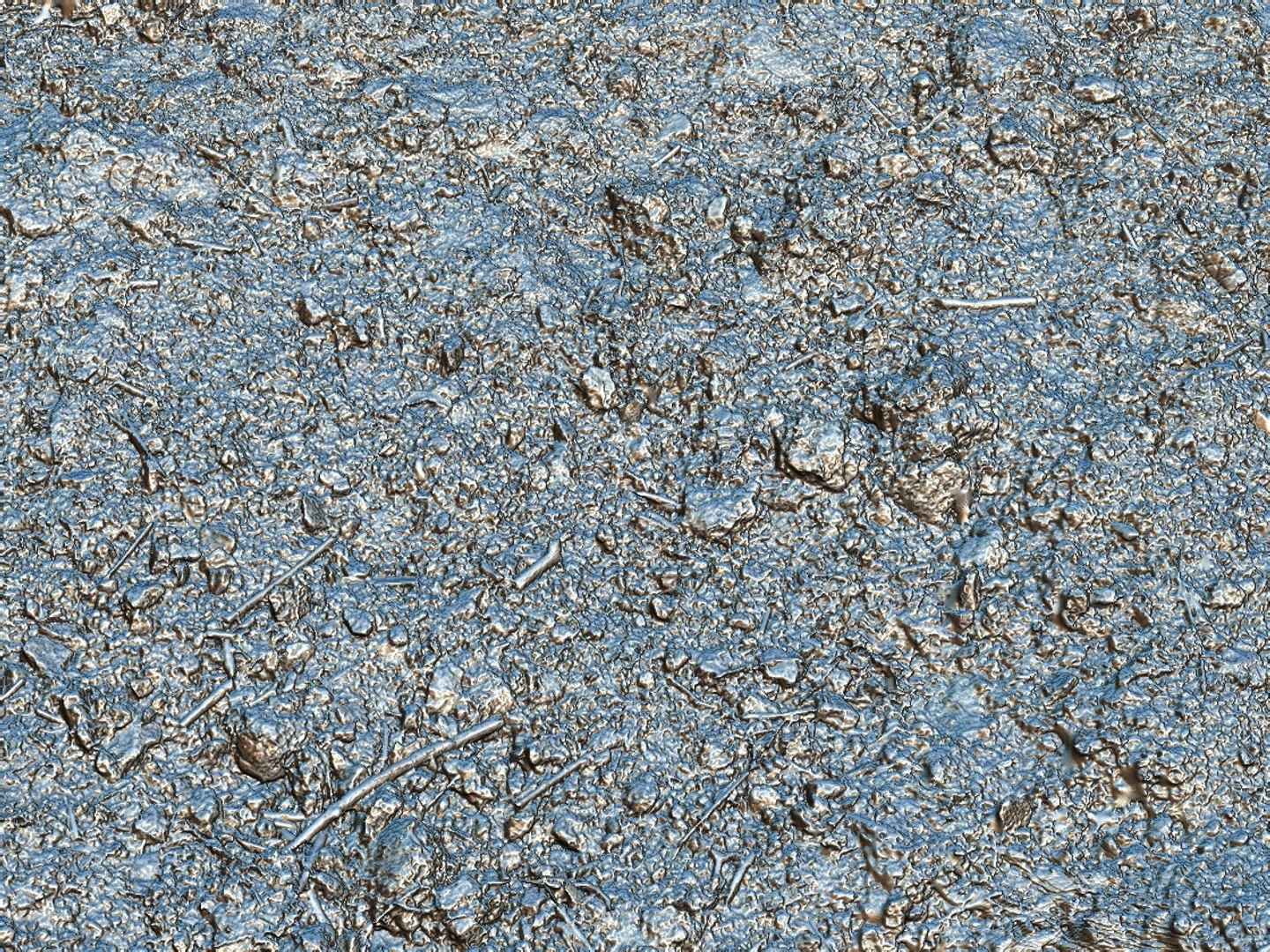 3d Model Forest Ground 16k Hd
