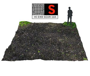 3d model forest ground 16k hd