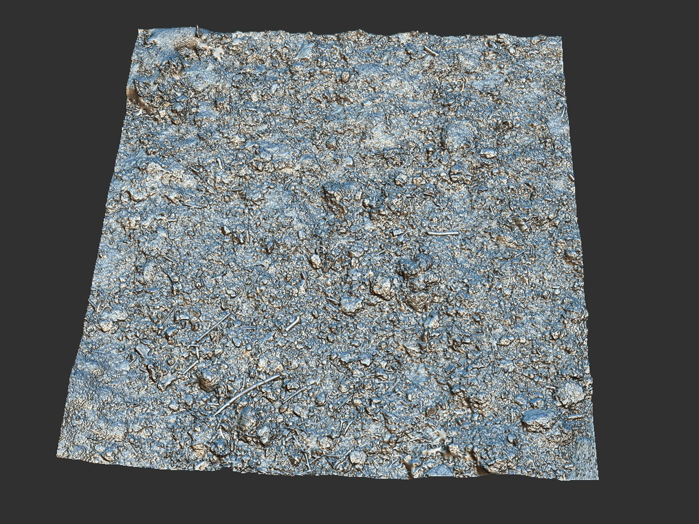 3d Model Forest Ground 16k Hd