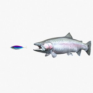 3D steelhead fish trout model