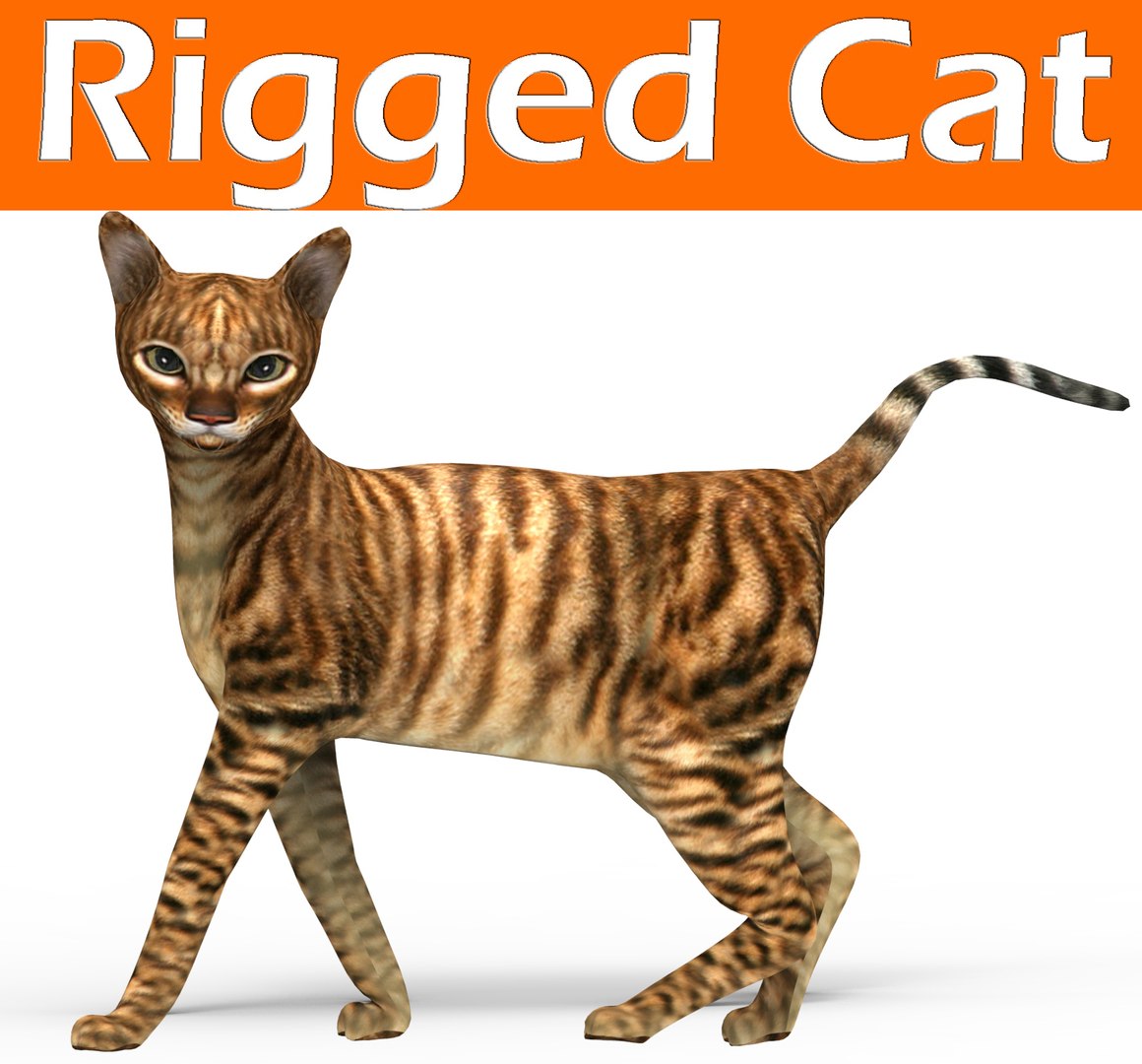 3D Model Cat Rigged - TurboSquid 1198192