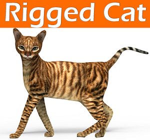 3D model cat rigged