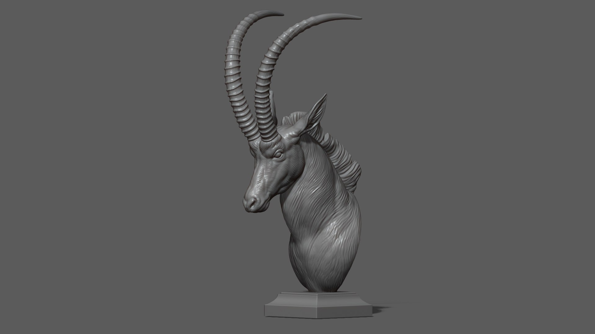 3D Sable Black Antelope Butting model https://p.turbosquid.com/ts-thumb/1L/3roI7z/K3/21/jpg/1748783332/1920x1080/fit_q87/e076810f468aada46184aae96d7e5d889505764b/21.jpg