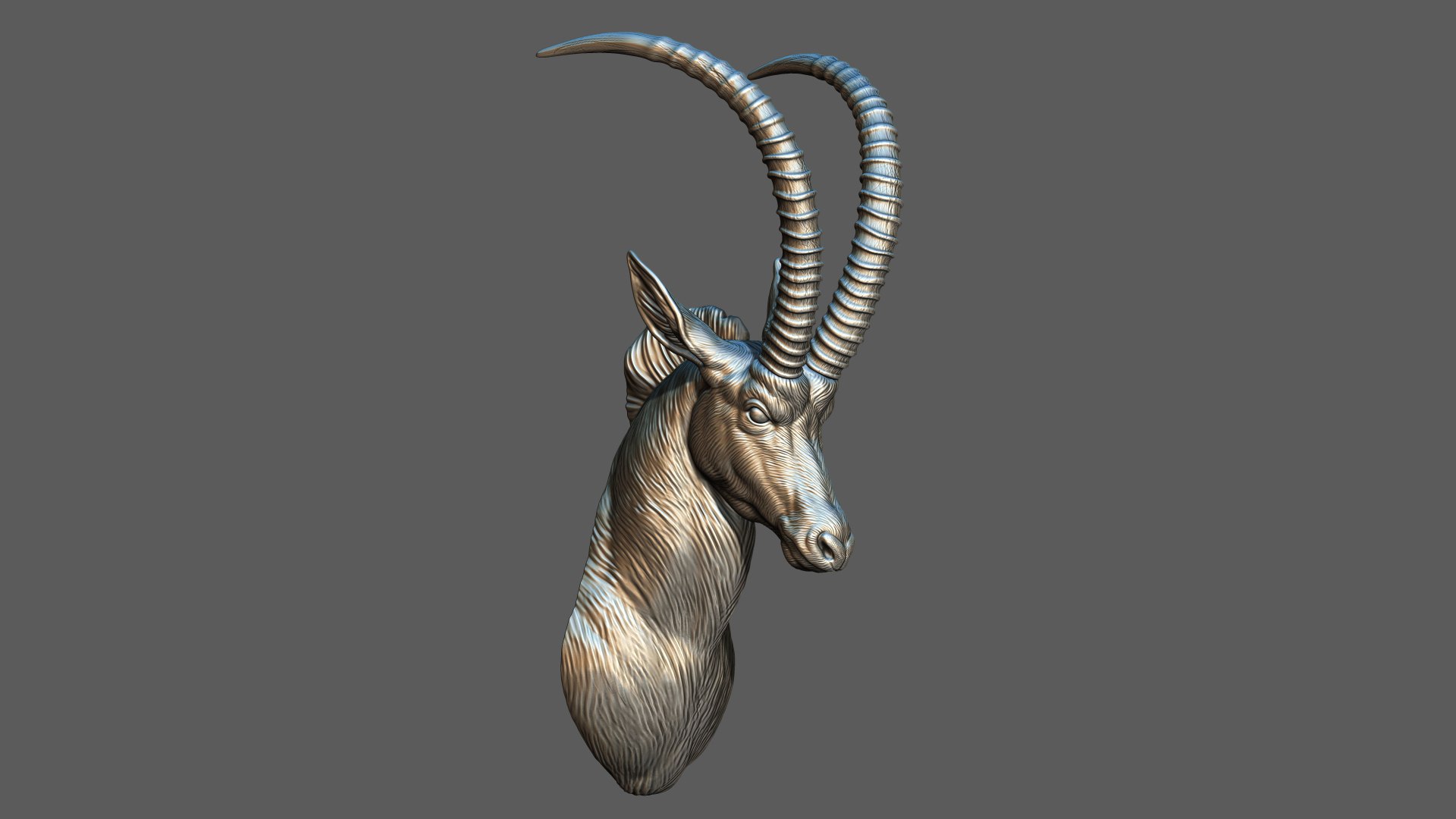 3D Sable Black Antelope Butting model https://p.turbosquid.com/ts-thumb/1L/3roI7z/Ms/14/jpg/1748783330/1920x1080/fit_q87/e078e65afb59f9675b30bb563aa9107393332f13/14.jpg