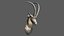 Sable Black Antelope Butting