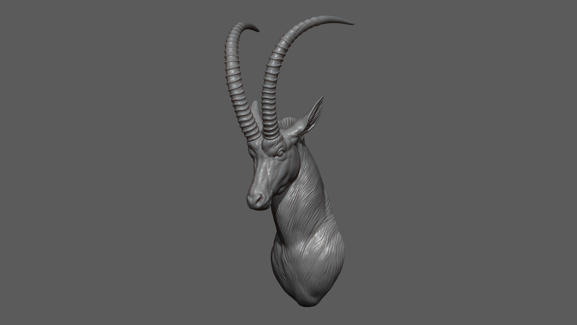 3D Sable Black Antelope Butting model https://p.turbosquid.com/ts-thumb/1L/3roI7z/Nh/7/jpg/1748783325/1920x1080/fit_q87/282683905b0d0d5210d9393f10c99ca39ea0635c/7.jpg
