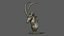 Sable Black Antelope Butting