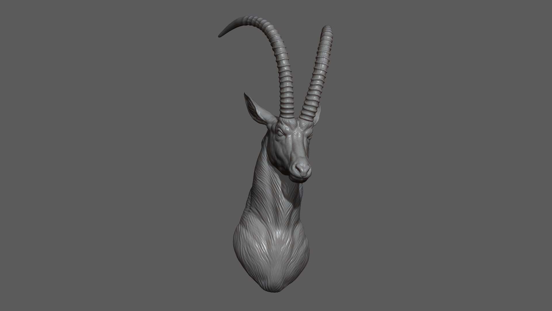 3D Sable Black Antelope Butting model https://p.turbosquid.com/ts-thumb/1L/3roI7z/oR/8/jpg/1748783328/1920x1080/fit_q87/e498eed576f7d52239b0cc0e20fa9d1f3a193abc/8.jpg