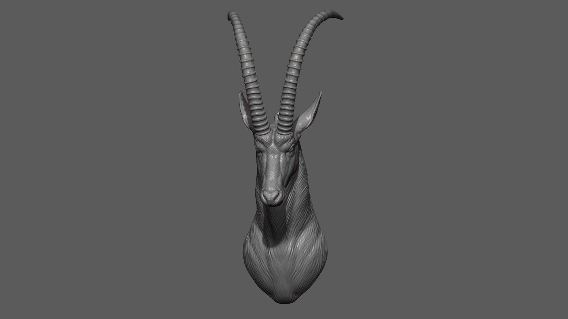 3D Sable Black Antelope Butting model https://p.turbosquid.com/ts-thumb/1L/3roI7z/rS/6/jpg/1748783322/1920x1080/fit_q87/92e2689583503f24e90b558441b4f9e422597969/6.jpg
