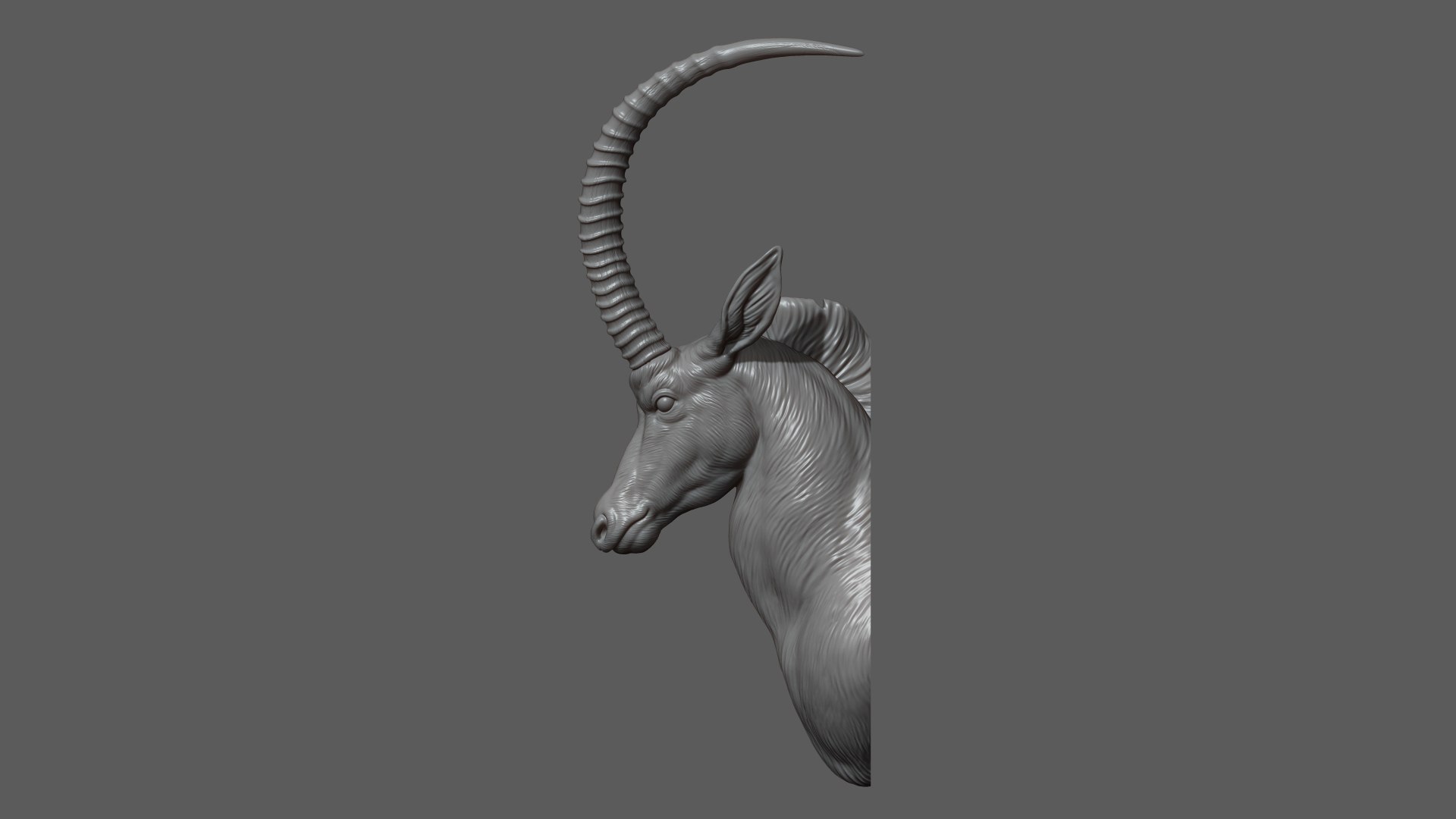 3D Sable Black Antelope Butting model https://p.turbosquid.com/ts-thumb/1L/3roI7z/sD/4/jpg/1748783310/1920x1080/fit_q87/f9be555198a649b4ecf0fc6044d5445eda8cd8e5/4.jpg