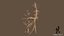 3D model tree pack