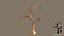 3D model tree pack