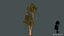 3D model tree pack