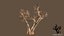 3D model tree pack