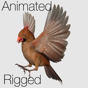 CARDINAL, FEMALE 2012 for Lightwave