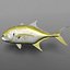 Jack Crevalle