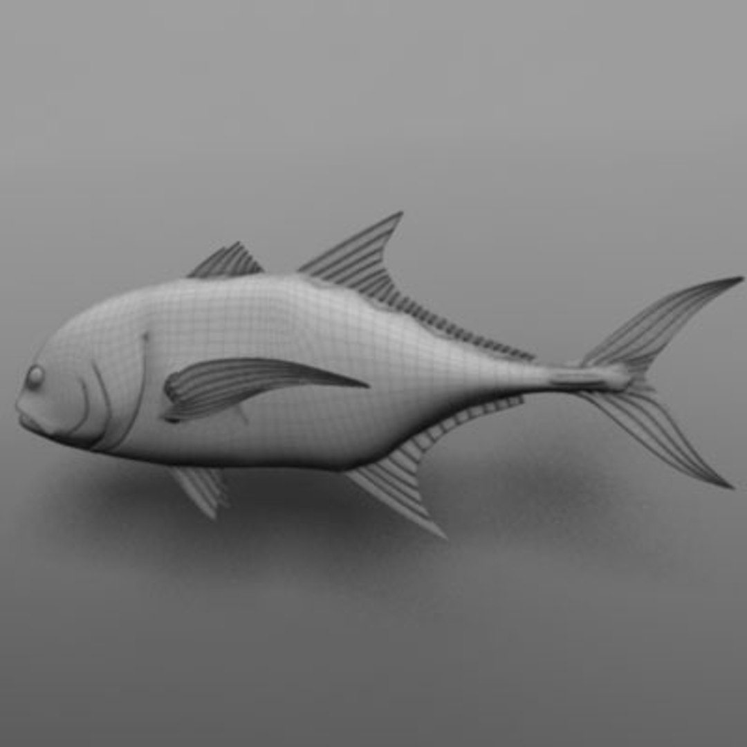 maya jack crevalle https://p.turbosquid.com/ts-thumb/1L/L9iuGT/PHS9vf72/jack9/jpg/1207956918/1920x1080/fit_q87/15a92359c059df048c3f6fda29379cb55856705f/jack9.jpg