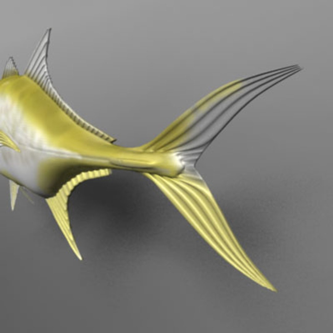maya jack crevalle https://p.turbosquid.com/ts-thumb/1L/L9iuGT/ZN9fJeGZ/jack3/jpg/1207956898/1920x1080/fit_q87/e7e0653e4bf1f6a2ff13abce2dab1bcd26f1abeb/jack3.jpg