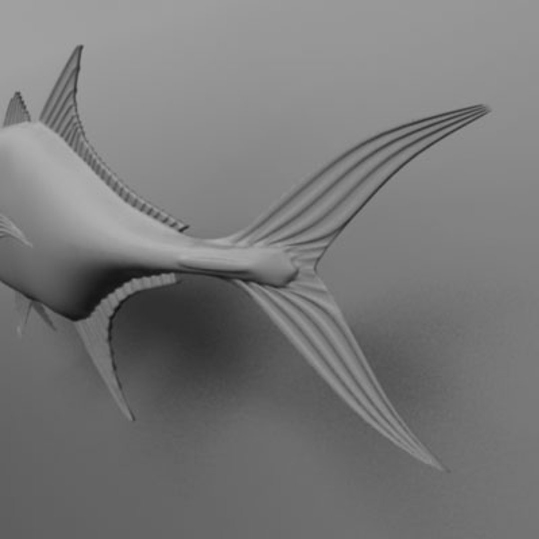 maya jack crevalle https://p.turbosquid.com/ts-thumb/1L/L9iuGT/hdxleqsf/jack8/jpg/1207956915/1920x1080/fit_q87/4dbeeaae40a9554d327112d12e3145b4137ad8e7/jack8.jpg