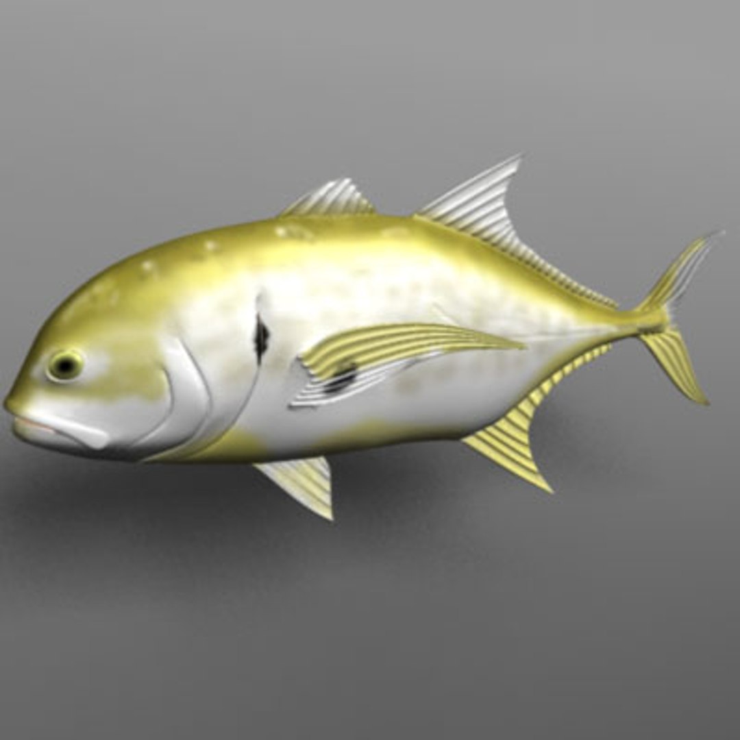maya jack crevalle https://p.turbosquid.com/ts-thumb/1L/L9iuGT/jpw1YCIP/jack2/jpg/1207956894/1920x1080/fit_q87/c315997414f5162b6d5915a46de93797ccb715d4/jack2.jpg