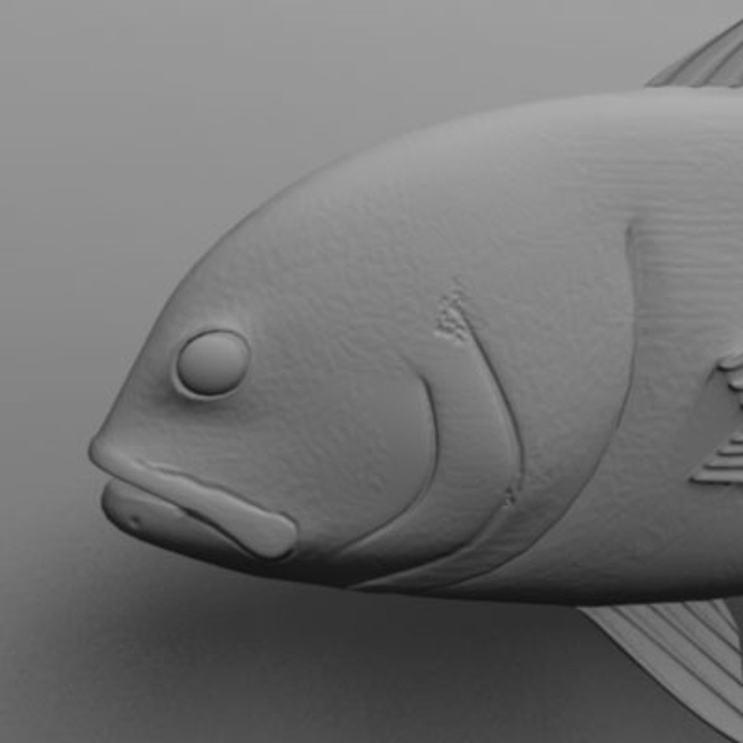 maya jack crevalle https://p.turbosquid.com/ts-thumb/1L/L9iuGT/kGpcaoSW/jack7/jpg/1207956911/1920x1080/fit_q87/9ba313849cb22e76ac6ccfbd08764bb2fc75aba5/jack7.jpg