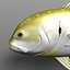 Jack Crevalle