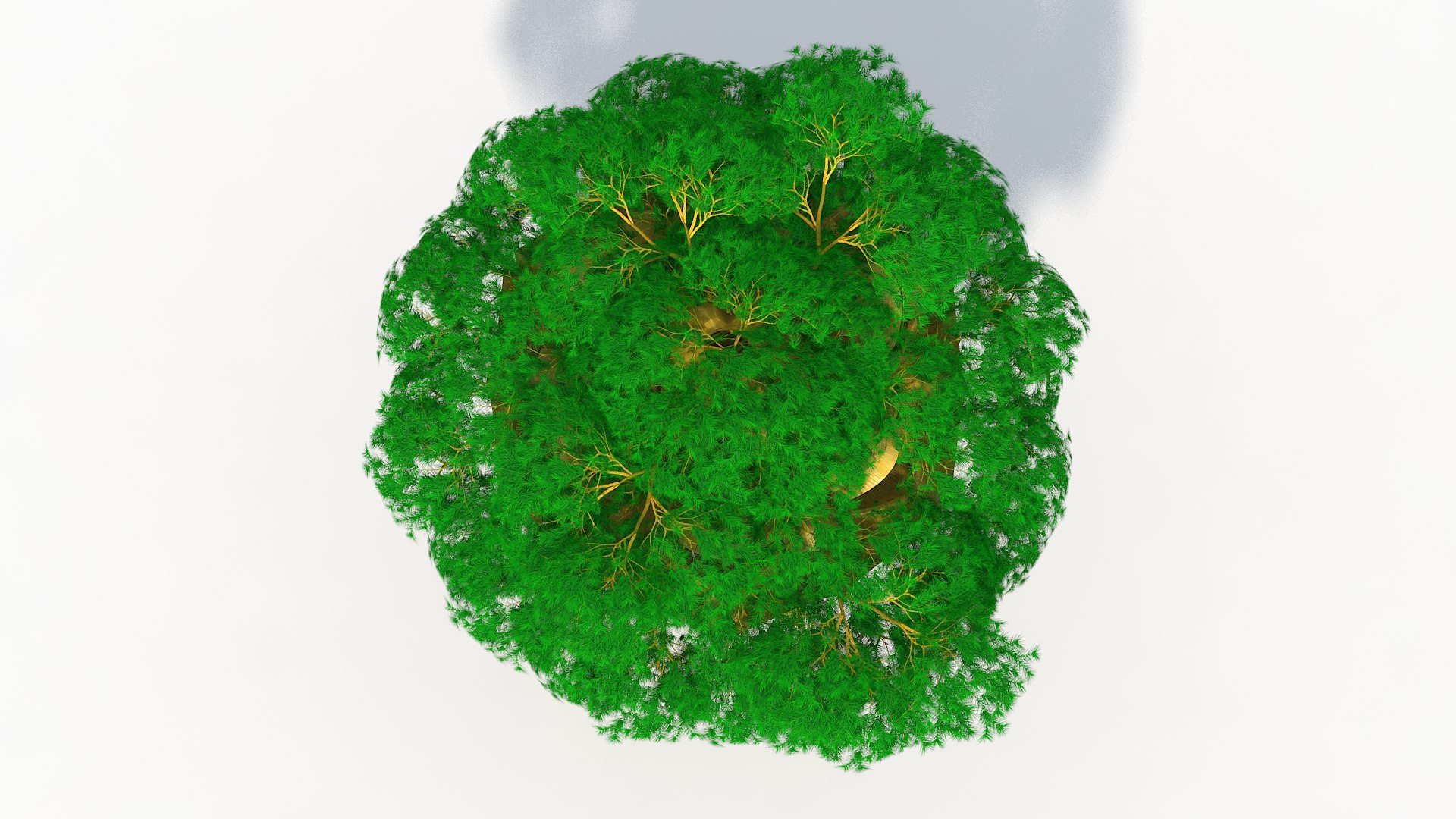 3D Tower Tree https://p.turbosquid.com/ts-thumb/1L/OcDzhQ/as/treed0042/jpg/1638565341/1920x1080/fit_q87/8ca999a2d5bca1f8dafe023b0ec3f43058164dea/treed0042.jpg
