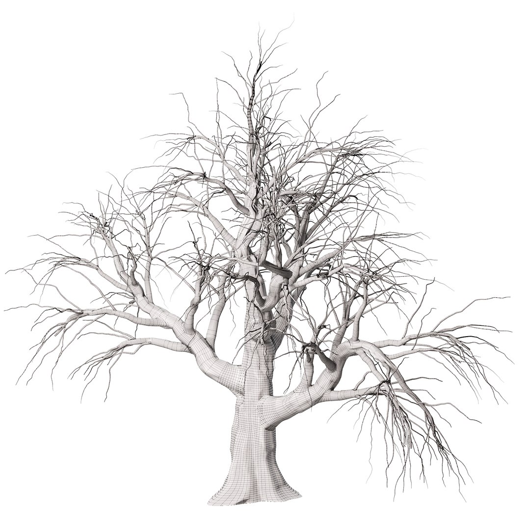 3D Highly Detailed Tree Trunk Model - TurboSquid 2147797