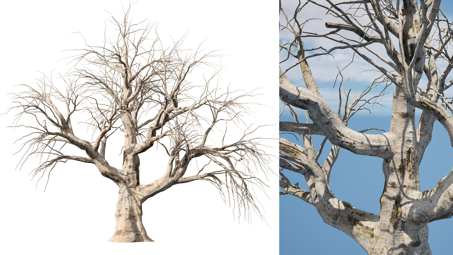 3D Highly Detailed Tree Trunk model https://p.turbosquid.com/ts-thumb/1L/PdiboN/fa/cover2/jpg/1699132359/1920x1080/fit_q87/b611e6d41028f6699730cf0a57d5ba867d828a7f/cover2.jpg