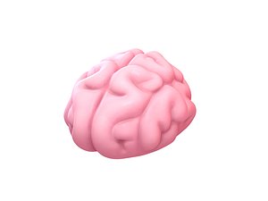 3D brain cartoon model