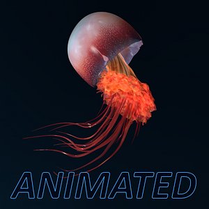jellyfish ANIMATED model